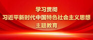www.日本操比网站学习贯彻习近平新时代中国特色社会主义思想主题教育_fororder_ad-371X160(2)
